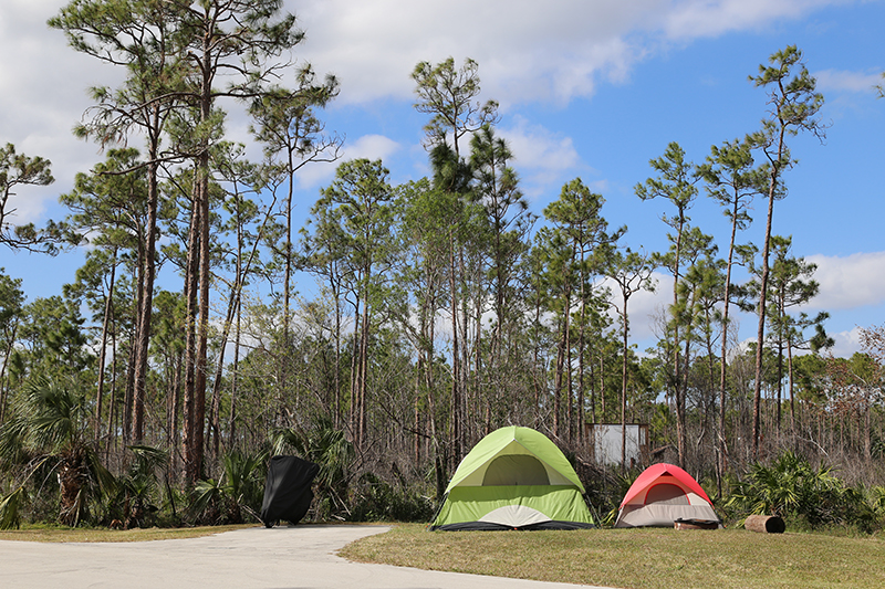 Flamingo Bayside Walk-to Campground